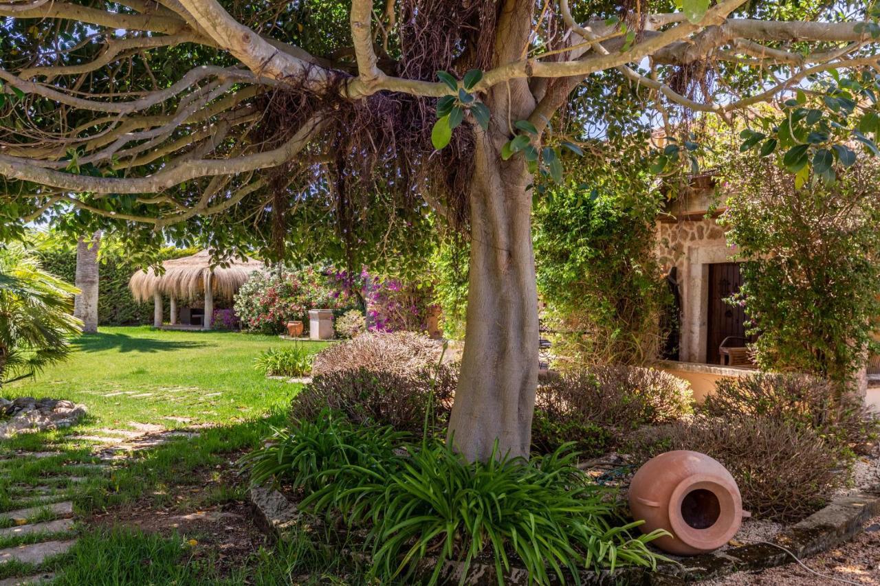 Le Petit Paradis Holiday home